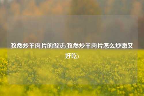 孜然炒羊肉片的做法(孜然炒羊肉片怎么炒嫩又好吃)