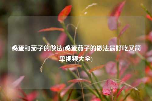 鸡蛋和茄子的做法(鸡蛋茄子的做法最好吃又简单视频大全)