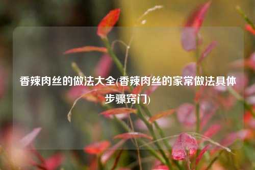 香辣肉丝的做法大全(香辣肉丝的家常做法具体步骤窍门)
