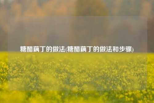 糖醋藕丁的做法(糖醋藕丁的做法和步骤)
