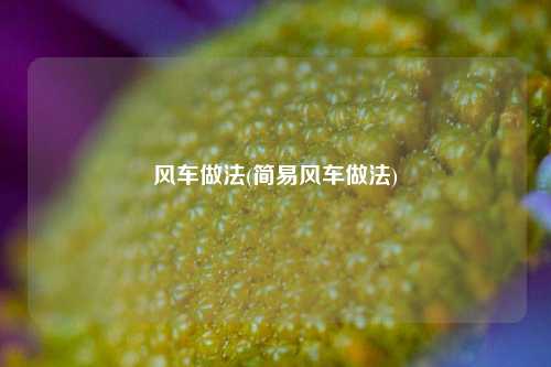 风车做法(简易风车做法)