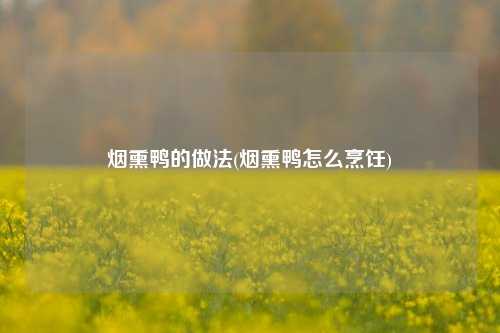 烟熏鸭的做法(烟熏鸭怎么烹饪)