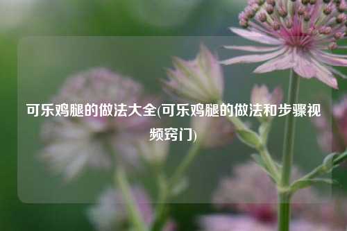 可乐鸡腿的做法大全(可乐鸡腿的做法和步骤视频窍门)