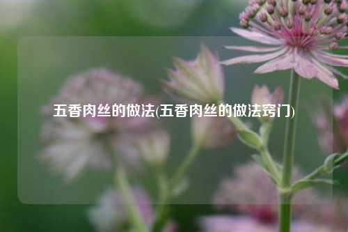 五香肉丝的做法(五香肉丝的做法窍门)
