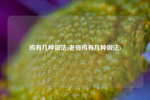 鸡有几种做法(老母鸡有几种做法)