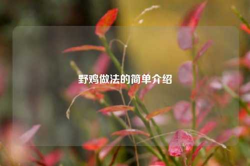 野鸡做法的简单介绍
