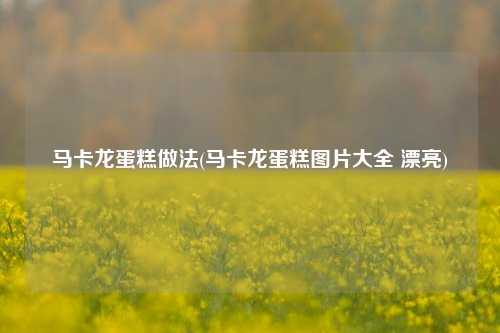 马卡龙蛋糕做法(马卡龙蛋糕图片大全 漂亮)