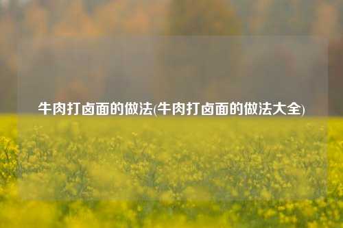 牛肉打卤面的做法(牛肉打卤面的做法大全)