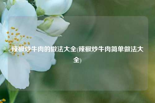 辣椒炒牛肉的做法大全(辣椒炒牛肉简单做法大全)