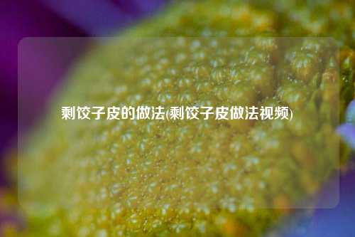 剩饺子皮的做法(剩饺子皮做法视频)