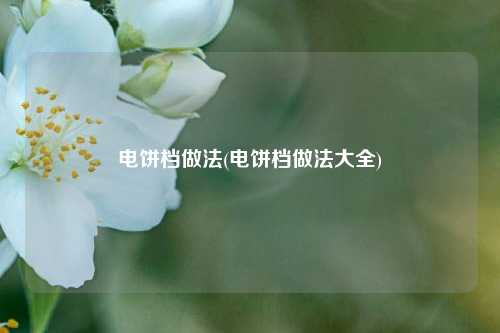 电饼档做法(电饼档做法大全)