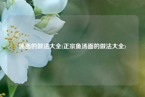汤面的做法大全(正宗鱼汤面的做法大全)