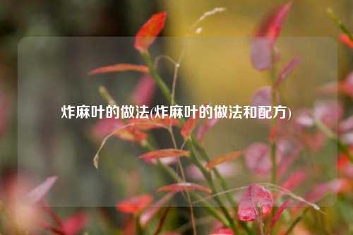 炸麻叶的做法(炸麻叶的做法和配方)