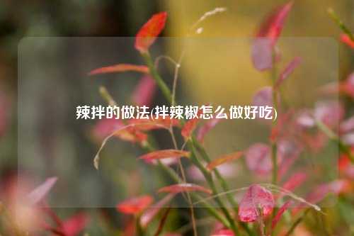 辣拌的做法(拌辣椒怎么做好吃)